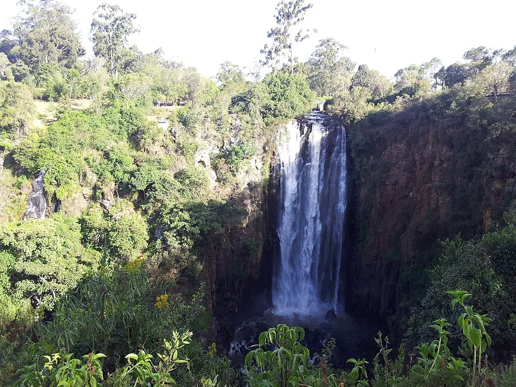 Thomson Falls